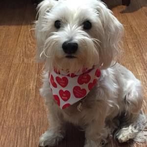 Meet your Posher, Daniela